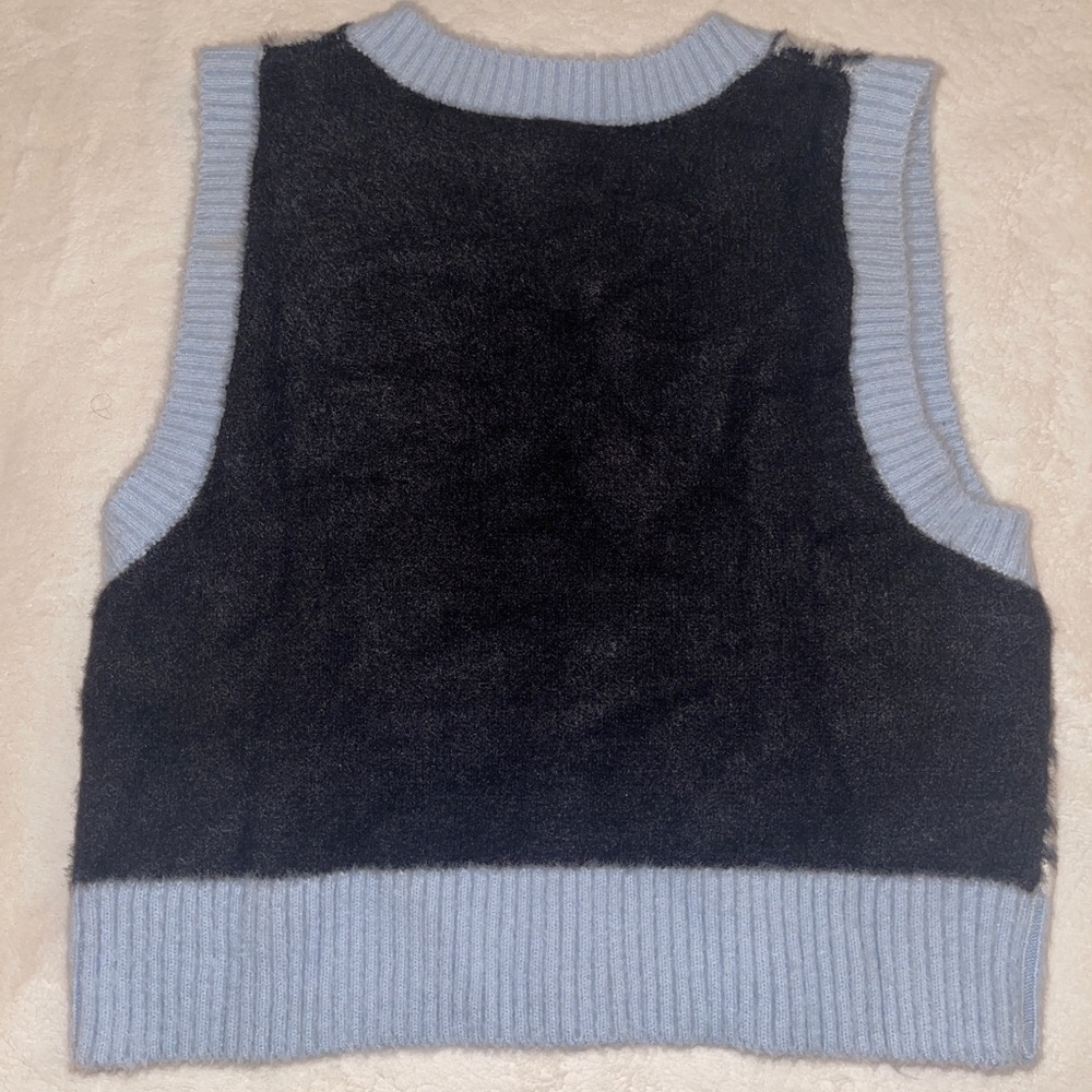 Cute Blue and Black Sweater Vest from H&M - Picture 4 of 5